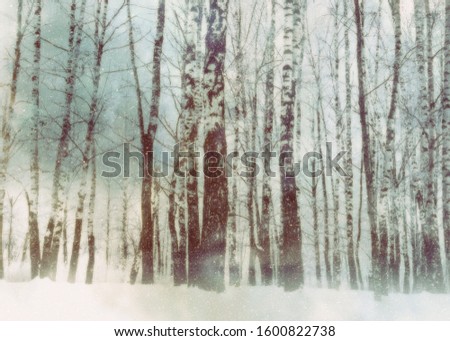 White winter trees in the park under snowfall, photomanipulation.
