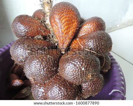 world tropical day concept. salak fruit on tray, nature photo object          