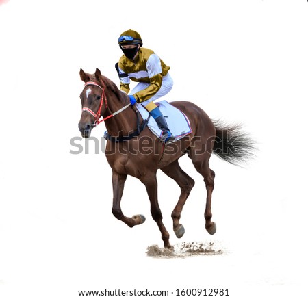 horse racing jockey isolated on white background Royalty-Free Stock Photo #1600912981