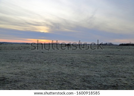 Sunrise with beautiful colored sky. On the photo a horse in a nature area taken on a cold winter morning.