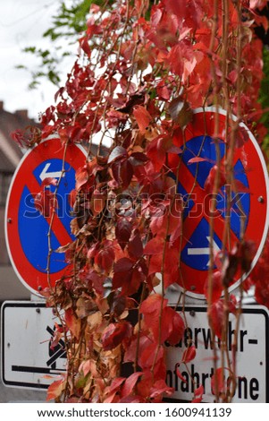 Hanging out leaves of grapes over road signs