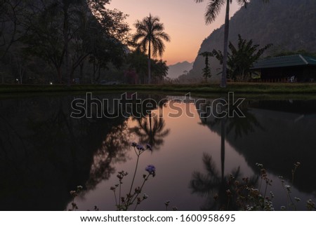evening in the jungle of thailand