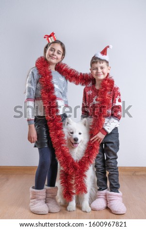 Merry Christmas and happy New Year. Cute children, brother and sister dressed in new year's hats and santa sweater wrapped with their samoyed dog in red new year's rain, looking at the camera