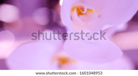 Abstract Bokeh background of defocused glittering lights. Christmas, Party, New Year, luxurious background pattern concept. banner.