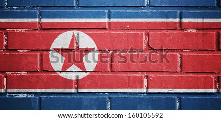 North Korea flag on texture brick wall