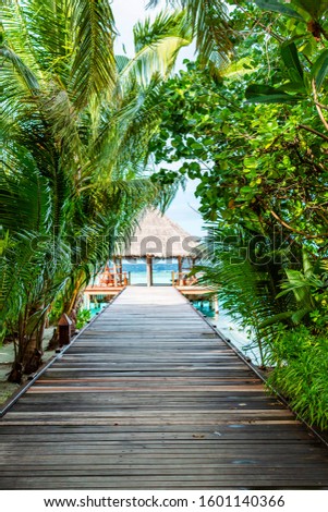 Perfect tropical island paradise beach Maldives