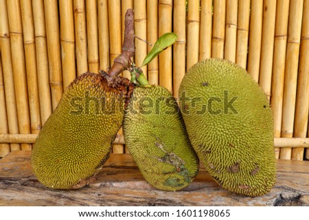 Ripe fruits of Jack tree. Whole green jack fruit on a robust wooden table with a background with bamboo trunks. Jackfruit on wood closeup. Full tropical fruit on wooden table, delicious exotic treat.