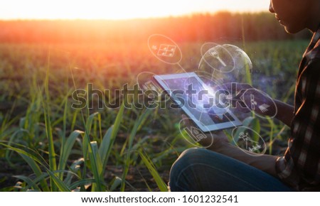Smart farming Precision Agriculture by using Electromagnetics Soil Maps and Variable Rate Fertilizer/Lime, Vegetation Images(Normalized Difference Vegetation Index-NDVI). Royalty-Free Stock Photo #1601232541