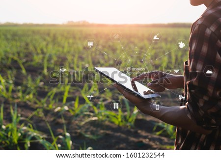 Smart farming Precision Agriculture by using Electromagnetics Soil Maps and Variable Rate Fertilizer/Lime, Vegetation Images(Normalized Difference Vegetation Index-NDVI). Royalty-Free Stock Photo #1601232544