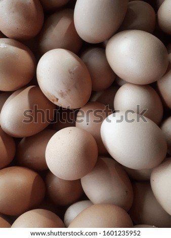 Eggs are one of the animal foods consumed besides meat, fish and milk. The picture was taken at the Yogyakarta market

