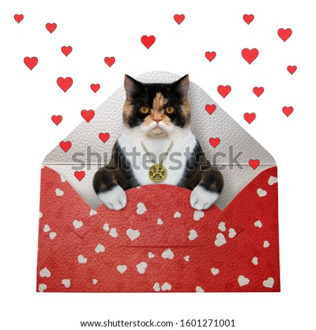 The colored cat with a gold locket is inside the envelope. There are red hearts around it. White background. Isolated.