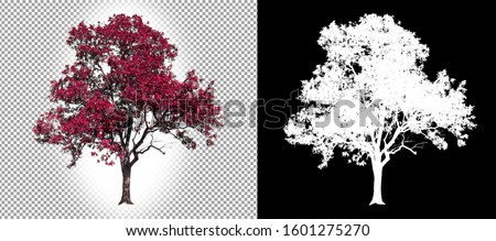isolated pink tree on white background with clipping path and alpha channel