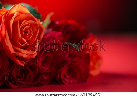 Congratulation on Valentine's Day, roses, flowers, romance. Red background, space for an inscription.
