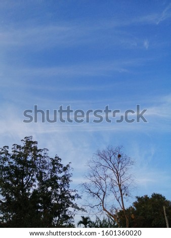 The sky clouds on the blue background