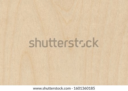 Grunge texture of light wood. Abstract background of smooth clean wood close-up.