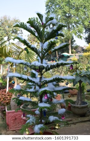 shallow focus photography of Christmas Tree