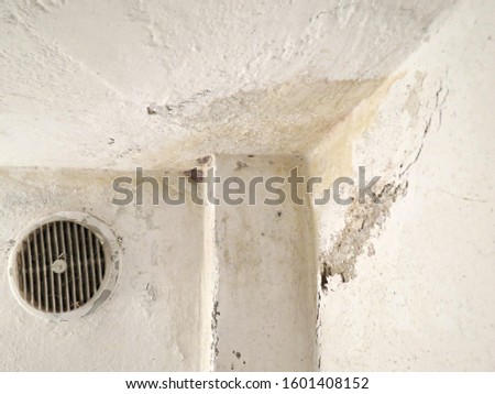 Stain on the ceiling from leaking water. Damage on fungus mold weathered wall. Mold growth on old white wall surface. Royalty-Free Stock Photo #1601408152