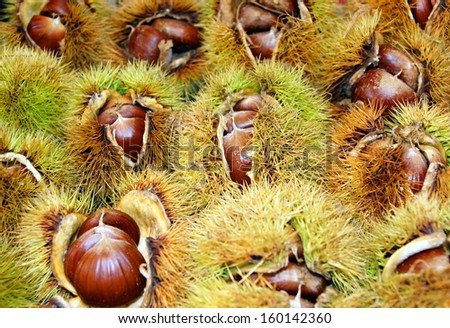 background filled with chestnuts