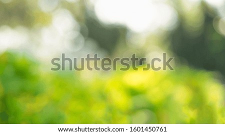 Abstract circular light bokeh background. Green leaves bright colors yellow light shining. Romantic soft gentle artistic image. Beautiful nature glitter blur gentle background. Free space for text