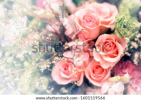 Soft color Roses Background Retro filter.