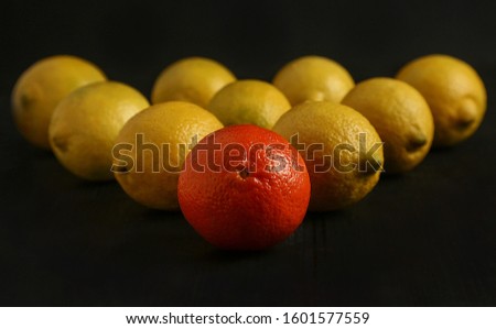 Several lemons and one mandarin on a wooden black background. Desktop or screen wallpaper,
