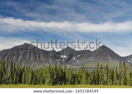Mountain view with blue sky and trees in Kluane National Park in the Yukon Territory, Canada.