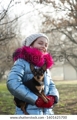 A little chihuahua is laying in the arms of his owner. School child in winter clothes on the street. Beige hat. Girl 9 years old. Chihuahua dog in his arms. Chihuahua black brown white