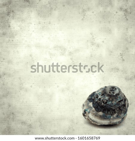 textured stylish old paper background, square, with broken sea snail