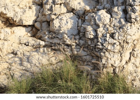 texture of stones and rock