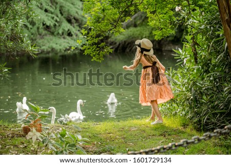 A girl in a hat stands by the lake and feeds the swans. Green blurred background. Fairyland picture.