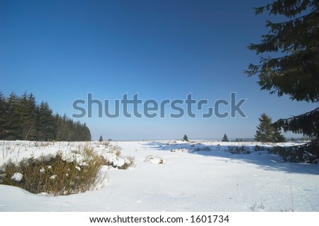 beautiful winter landscape