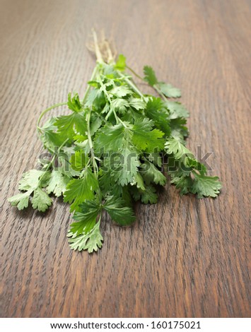 Fresh coriander on a wooden table