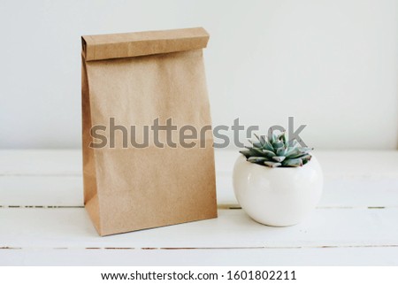 Ecological packaging of goods and food. Succulent in a white ceramic pot.