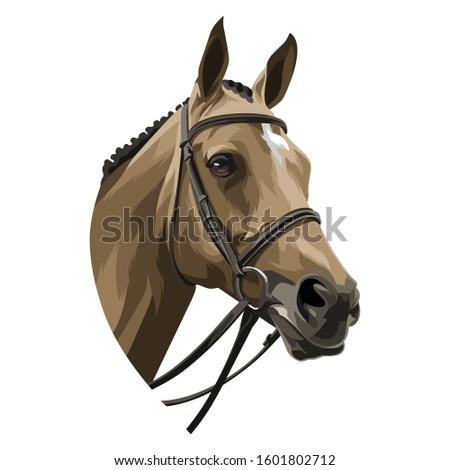 Head Horse Illustration For T-shirt Design,Sticker etc.