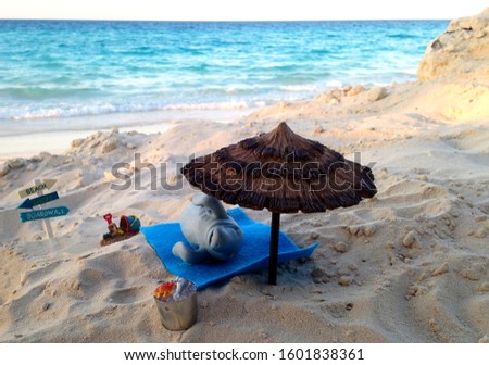 Manfred the Manatee lying on the beach with the ocean in the background