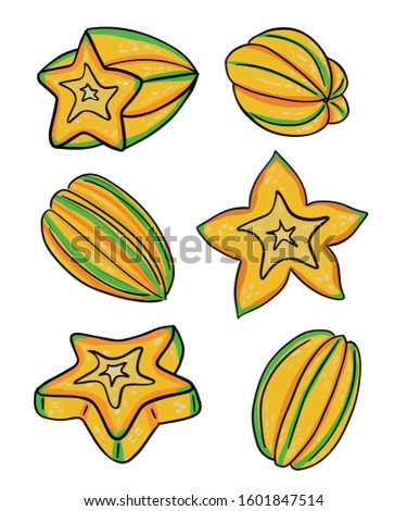 star fruit different versions hand draw vector illustration