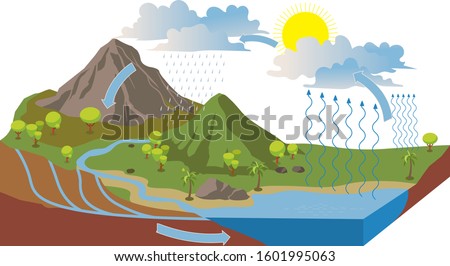 the water cycle illustration infographic - vector Royalty-Free Stock Photo #1601995063