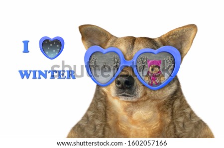 The beige dog wears heart shaped sunglasses with the reflection of another dog in in a knitted hat and scarf. I love winter. White background. Isolated.