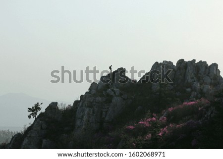 There is a climber standing at the top of the rocky mountain and there is a photographer beneath it. And pink flowers are blooming.