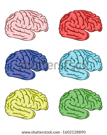 human brain set different colours