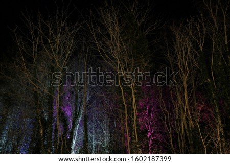 Bare trees in winter time with lit up trunks and branches. Winter lights in the forest. Spooky trees, colourful trees at night. Aesthetically pleasing lights on trees. New Year. Amazing nature. Royalty-Free Stock Photo #1602187399
