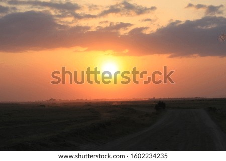 Sunset landscape in Amboseli National Park in Kenya, Africa