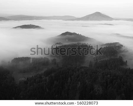 Full moon night with sunrise in a beautiful mountain of Bohemian-Saxony Switzerland. Sandstone peaks and hills increased from foggy background. First sun rays. Black and White photo. 