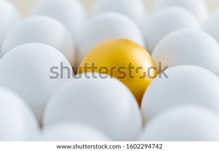 Single golden egg among white eggs