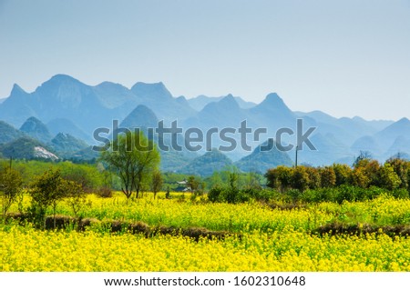 Countryside with mountains background scenery in spring