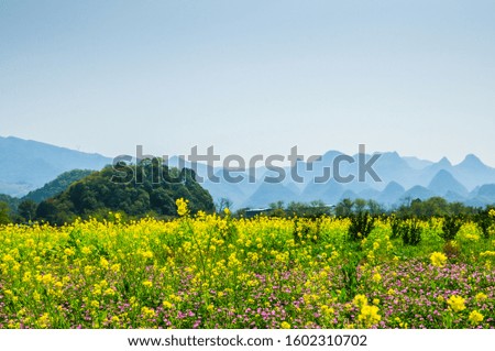 Countryside with mountains background scenery in spring