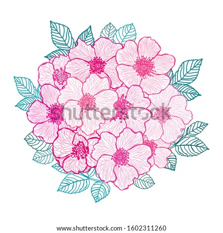 Decorative hand drawn dog rose flowers, design elements. Can be used for cards, invitations, banners, posters, print design. Floral background in line art style