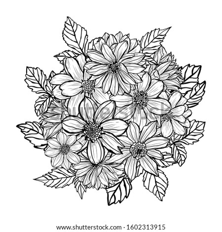 Decorative hand drawn dahlia  flowers, design elements. Can be used for cards, invitations, banners, posters, print design. Floral background in line art style