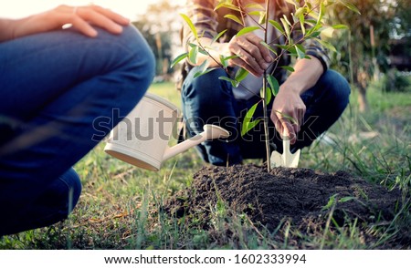 young man gardener, planting tree in garden, gardening and watering plants. Royalty-Free Stock Photo #1602333994