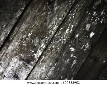 Dirty wooden texture use as natural background for design